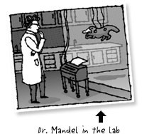 dr. mandel in the lab